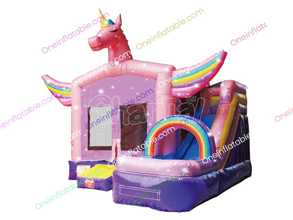 Pink Unicorn Water Combo