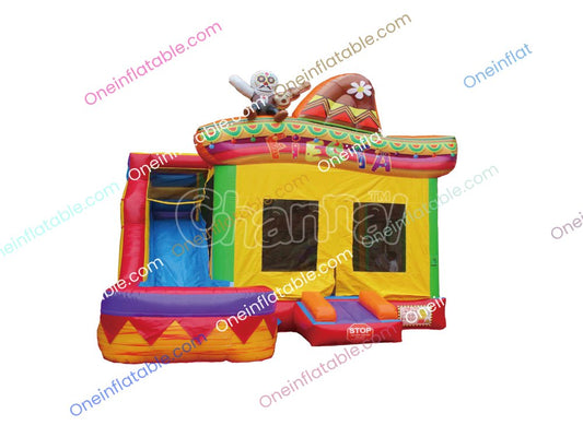 Fiesta Wet Dry Combo