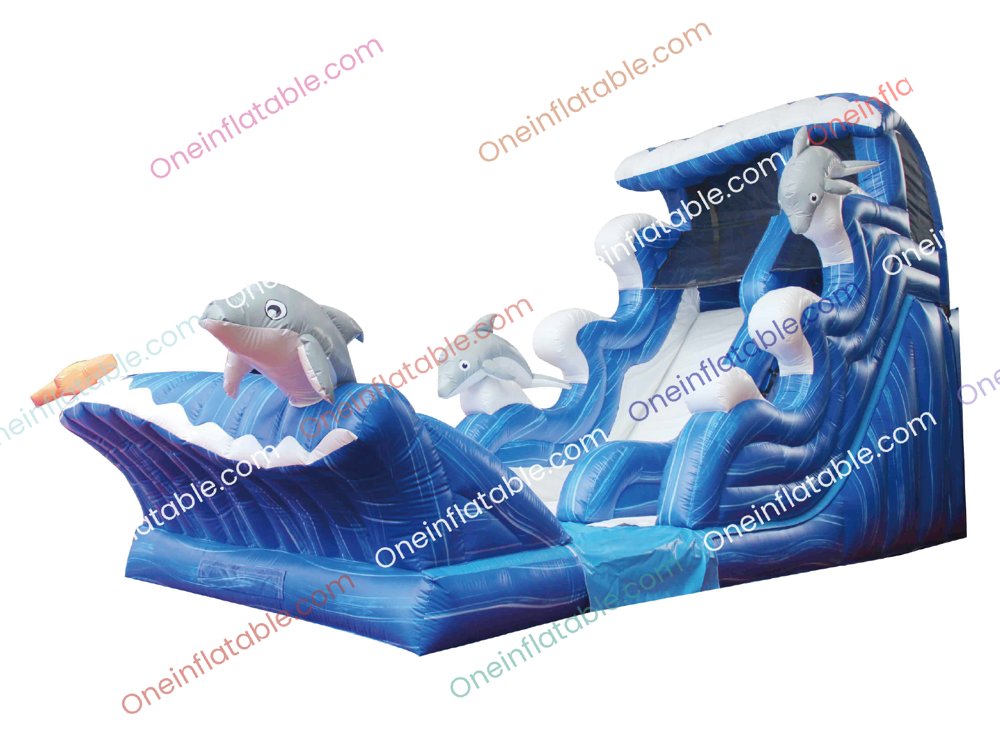 19' Dolphin Water Slide